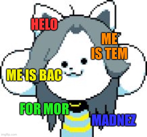 Yay now I can post on EAM | HELO; ME IS TEM; ME IS BAC; FOR MOR; MADNEZ | image tagged in temmie | made w/ Imgflip meme maker