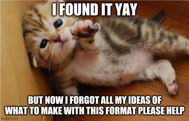 Help Me Kitten | I FOUND IT YAY BUT NOW I FORGOT ALL MY IDEAS OF WHAT TO MAKE WITH THIS FORMAT PLEASE HELP | image tagged in help me kitten | made w/ Imgflip meme maker