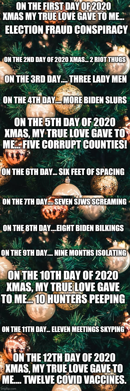 The 12 Days of 2020 Xmas | ON THE FIRST DAY OF 2020 XMAS MY TRUE LOVE GAVE TO ME... ELECTION FRAUD CONSPIRACY; ON THE 2ND DAY OF 2020 XMAS... 2 RIOT THUGS; ON THE 3RD DAY.... THREE LADY MEN; ON THE 4TH DAY.... MORE BIDEN SLURS; ON THE 5TH DAY OF 2020 XMAS, MY TRUE LOVE GAVE TO ME... FIVE CORRUPT COUNTIES! ON THE 6TH DAY... SIX FEET OF SPACING; ON THE 7TH DAY.... SEVEN SJWS SCREAMING; ON THE 8TH DAY....EIGHT BIDEN BILKINGS; ON THE 9TH DAY.... NINE MONTHS ISOLATING; ON THE 10TH DAY OF 2020 XMAS, MY TRUE LOVE GAVE TO ME... 10 HUNTERS PEEPING; ON THE 11TH DAY... ELEVEN MEETINGS SKYPING; ON THE 12TH DAY OF 2020 XMAS, MY TRUE LOVE GAVE TO ME.... TWELVE COVID VACCINES. | image tagged in xmas,2020 sucks | made w/ Imgflip meme maker