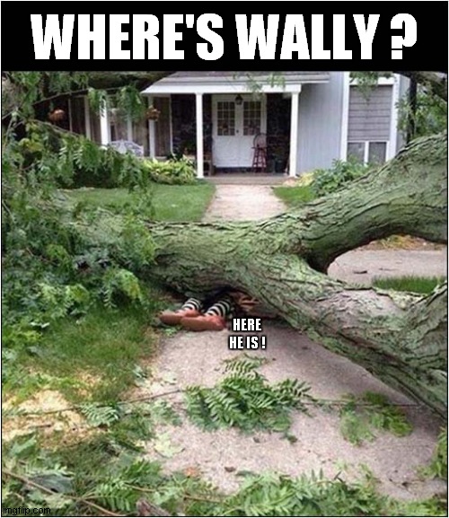 Wally Didn't Make It ! | WHERE'S WALLY ? HERE HE IS ! | image tagged in fun,where's waldo,front page | made w/ Imgflip meme maker