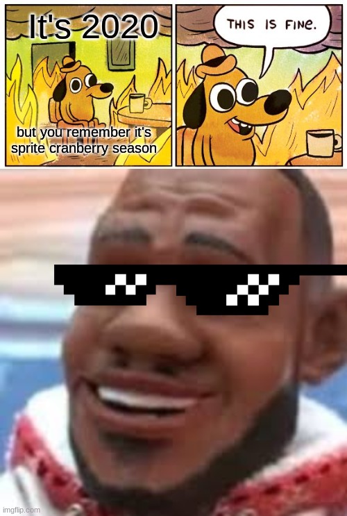 wAnNA SprItE cRanbERrY?? | It's 2020; but you remember it's sprite cranberry season | image tagged in memes,this is fine,wanna sprite cranberry | made w/ Imgflip meme maker