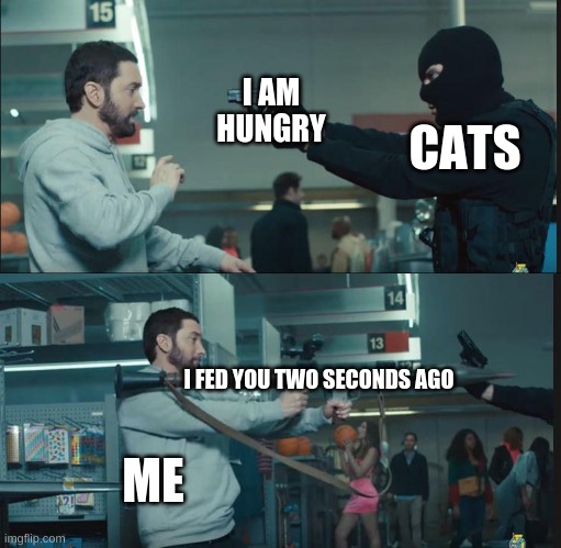 eminem rocket launcher | I AM HUNGRY; CATS; I FED YOU TWO SECONDS AGO; ME | image tagged in eminem rocket launcher | made w/ Imgflip meme maker