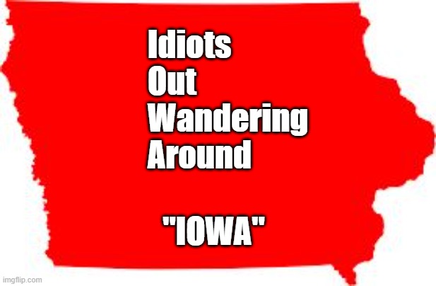 Iowa | Idiots
Out
Wandering
Around; "IOWA" | image tagged in iowa | made w/ Imgflip meme maker