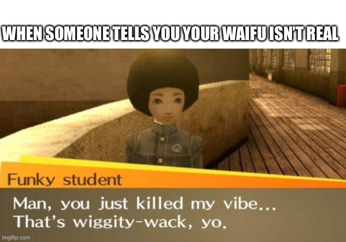 We all have that dream | WHEN SOMEONE TELLS YOU YOUR WAIFU ISN’T REAL | image tagged in persona 4 | made w/ Imgflip meme maker