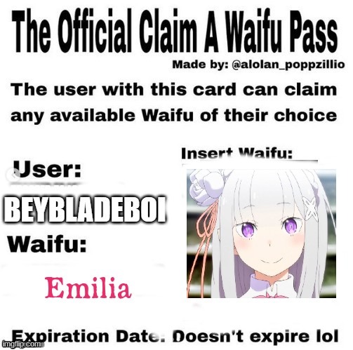 my new waifu :( | image tagged in rezero | made w/ Imgflip meme maker