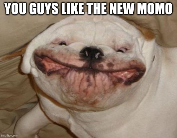 Ugly dog |  YOU GUYS LIKE THE NEW MOMO | image tagged in ugly dog | made w/ Imgflip meme maker