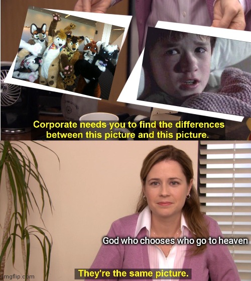 Furries are people so f**k off Furry haters | God who chooses who go to heaven | image tagged in memes,they're the same picture | made w/ Imgflip meme maker