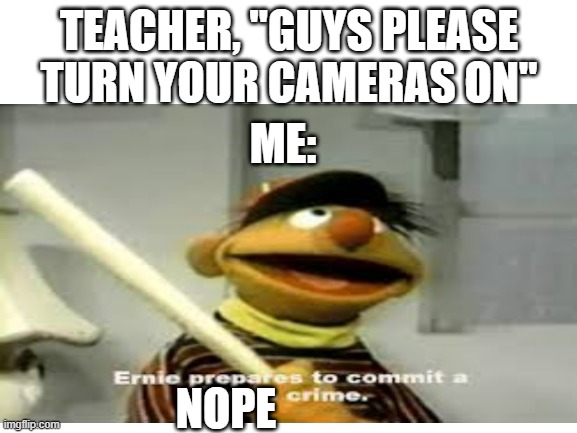 Yeh i'd rather not... |  TEACHER, "GUYS PLEASE TURN YOUR CAMERAS ON"; ME:; NOPE | image tagged in online school,nope nope nope | made w/ Imgflip meme maker