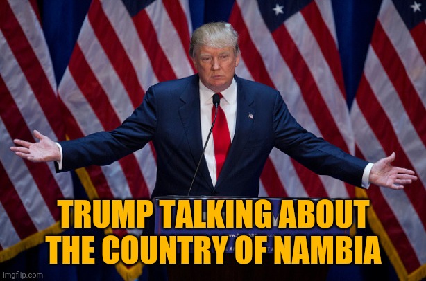 Donald Trump | TRUMP TALKING ABOUT THE COUNTRY OF NAMBIA | image tagged in donald trump | made w/ Imgflip meme maker