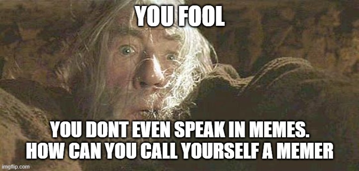 Gandalf Fly You Fools | YOU FOOL; YOU DONT EVEN SPEAK IN MEMES. HOW CAN YOU CALL YOURSELF A MEMER | image tagged in gandalf fly you fools | made w/ Imgflip meme maker