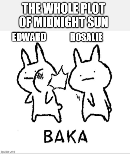 The Plot of Midnight Sun | THE WHOLE PLOT OF MIDNIGHT SUN; EDWARD; ROSALIE | image tagged in twilight,midnight sun,edward cullen,rosalie hale,stephenie meyer | made w/ Imgflip meme maker