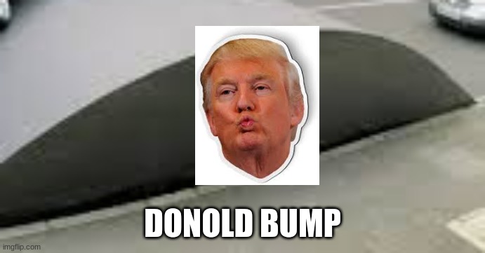 Trump the bump | DONOLD BUMP | image tagged in trump | made w/ Imgflip meme maker