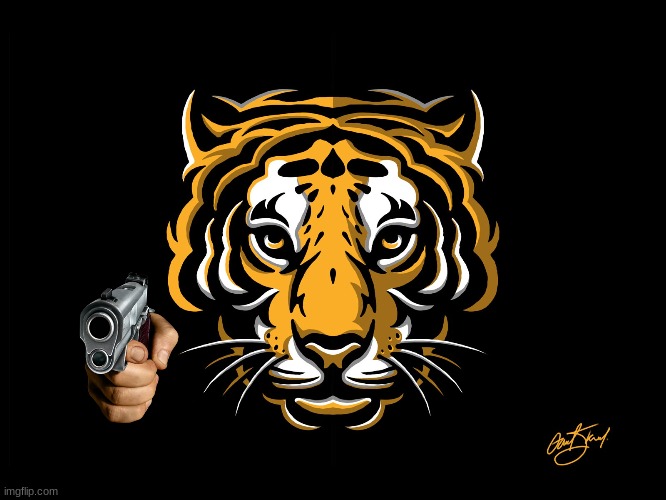 tiger | image tagged in tiger | made w/ Imgflip meme maker