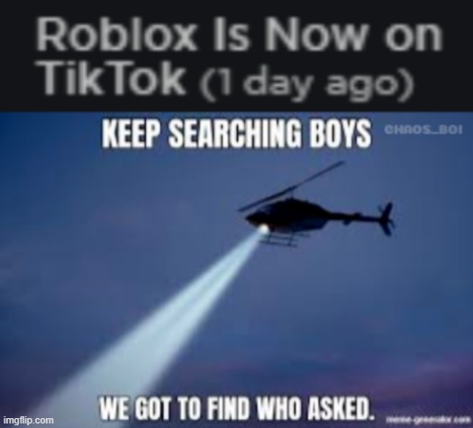 who tf asked | image tagged in roblox,tik tok | made w/ Imgflip meme maker