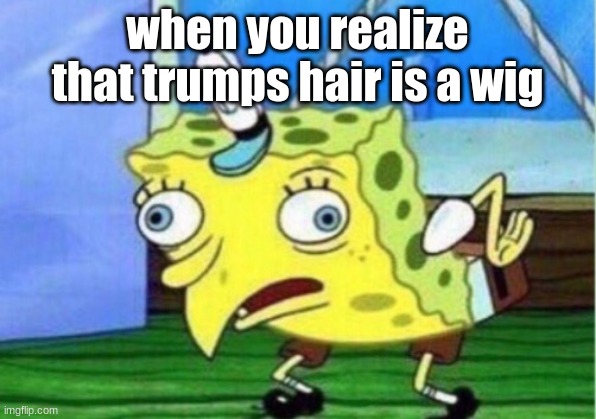 Mocking Spongebob | when you realize that trumps hair is a wig | image tagged in memes,mocking spongebob | made w/ Imgflip meme maker