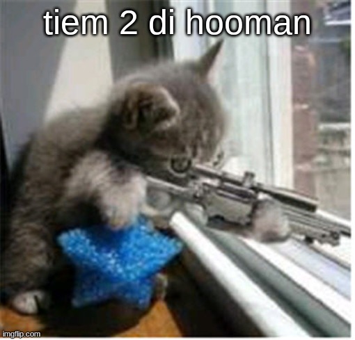 Hitman lolcat | tiem 2 di hooman | image tagged in hitman lolcat | made w/ Imgflip meme maker