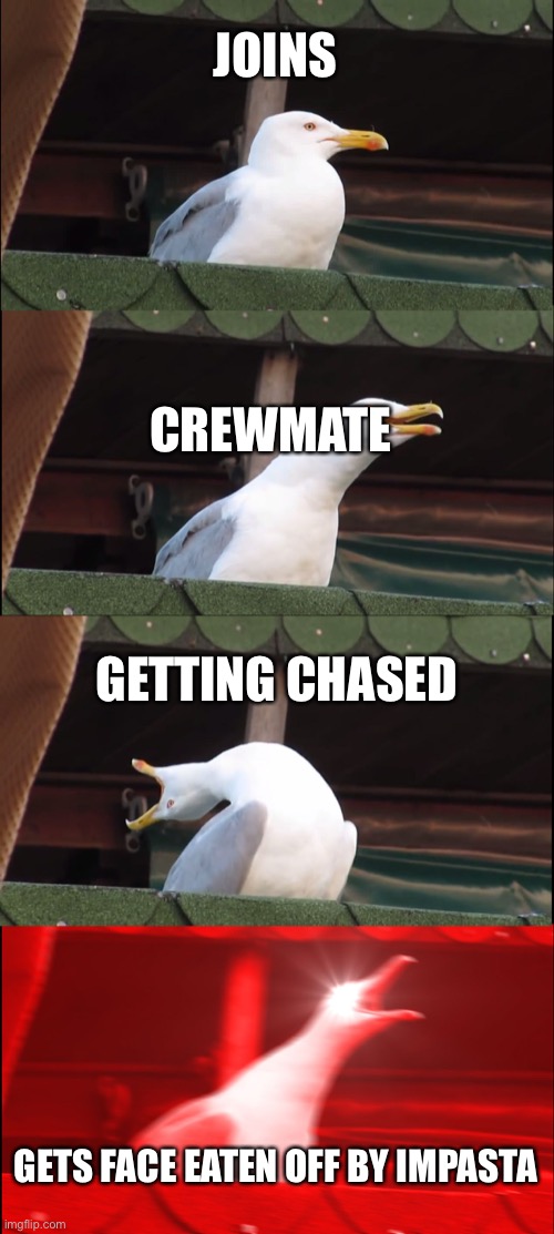 Inhaling Seagull | JOINS; CREWMATE; GETTING CHASED; GETS FACE EATEN OFF BY IMPASTA | image tagged in memes,inhaling seagull | made w/ Imgflip meme maker