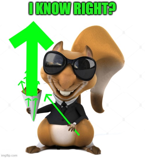 I KNOW RIGHT? | image tagged in upvote squirrel | made w/ Imgflip meme maker