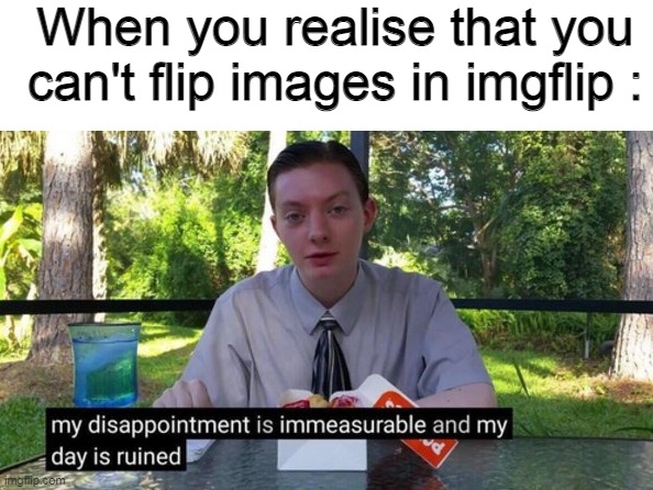 My day is ruined | When you realise that you can't flip images in imgflip : | image tagged in my day is ruined | made w/ Imgflip meme maker