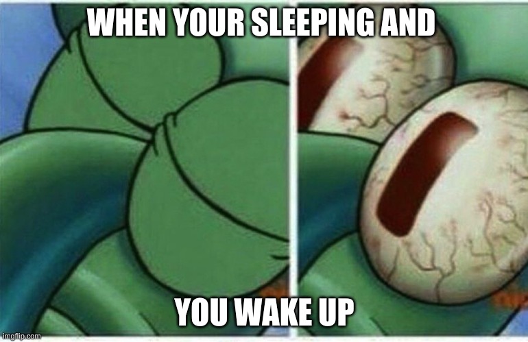 Squidward | WHEN YOUR SLEEPING AND; YOU WAKE UP | image tagged in squidward | made w/ Imgflip meme maker