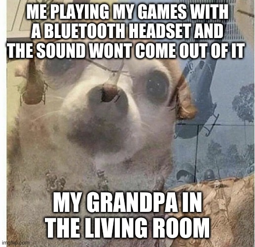 im dead lol | ME PLAYING MY GAMES WITH A BLUETOOTH HEADSET AND THE SOUND WONT COME OUT OF IT; MY GRANDPA IN THE LIVING ROOM | image tagged in ptsd chihuahua | made w/ Imgflip meme maker