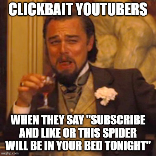 Youtube Clickbaiters | CLICKBAIT YOUTUBERS; WHEN THEY SAY "SUBSCRIBE AND LIKE OR THIS SPIDER WILL BE IN YOUR BED TONIGHT" | image tagged in memes,laughing leo | made w/ Imgflip meme maker