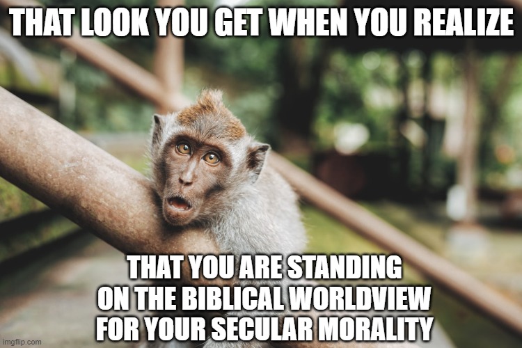 Amazed Monkey | THAT LOOK YOU GET WHEN YOU REALIZE; THAT YOU ARE STANDING ON THE BIBLICAL WORLDVIEW FOR YOUR SECULAR MORALITY | image tagged in amazed monkey | made w/ Imgflip meme maker