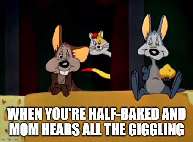When you're half-baked and mom hears all the giggling | WHEN YOU'RE HALF-BAKED AND
MOM HEARS ALL THE GIGGLING | image tagged in bert and hubie busted | made w/ Imgflip meme maker
