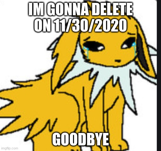 If you don't get it dont ask | IM GONNA DELETE ON 11/30/2020; GOODBYE | image tagged in sad jolteon | made w/ Imgflip meme maker