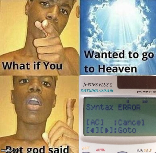 S Y N T A X   E R R O R | image tagged in what if you wanted to go to heaven | made w/ Imgflip meme maker
