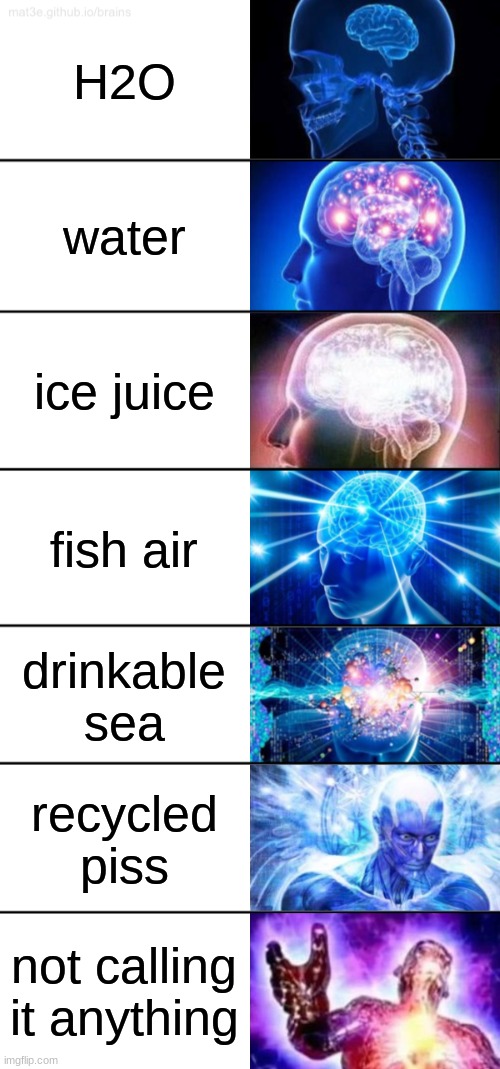 a remastered version of my first meme | H2O; water; ice juice; fish air; drinkable sea; recycled piss; not calling it anything | image tagged in 7-tier expanding brain,water | made w/ Imgflip meme maker