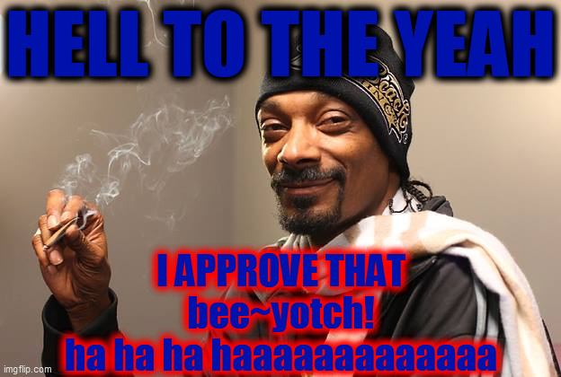 Snoop Dogg | HELL TO THE YEAH I APPROVE THAT
bee~yotch!
ha ha ha haaaaaaaaaaaaa | image tagged in snoop dogg | made w/ Imgflip meme maker