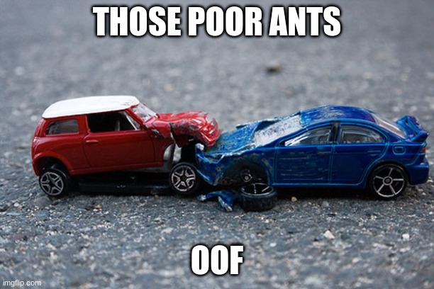 Car crash | THOSE POOR ANTS; OOF | image tagged in car crash,oh wow are you actually reading these tags,bruh | made w/ Imgflip meme maker