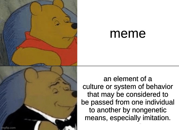 Tuxedo Winnie The Pooh | meme; an element of a culture or system of behavior that may be considered to be passed from one individual to another by nongenetic means, especially imitation. | image tagged in memes,tuxedo winnie the pooh | made w/ Imgflip meme maker