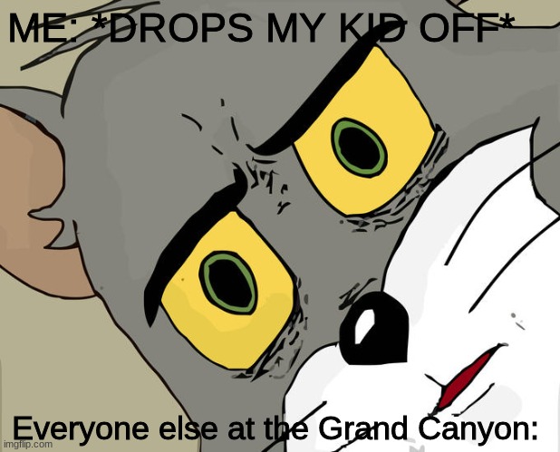 Unsettled Tom | ME: *DROPS MY KID OFF*; Everyone else at the Grand Canyon: | image tagged in memes,unsettled tom | made w/ Imgflip meme maker