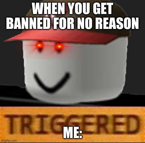 Roblox Triggered | WHEN YOU GET BANNED FOR NO REASON; ME: | image tagged in roblox triggered | made w/ Imgflip meme maker