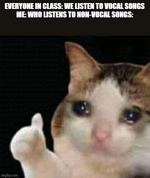 I DID NOT FIT IN | EVERYONE IN CLASS: WE LISTEN TO VOCAL SONGS
ME: WHO LISTENS TO NON-VOCAL SONGS: | image tagged in sad thumbs up cat | made w/ Imgflip meme maker