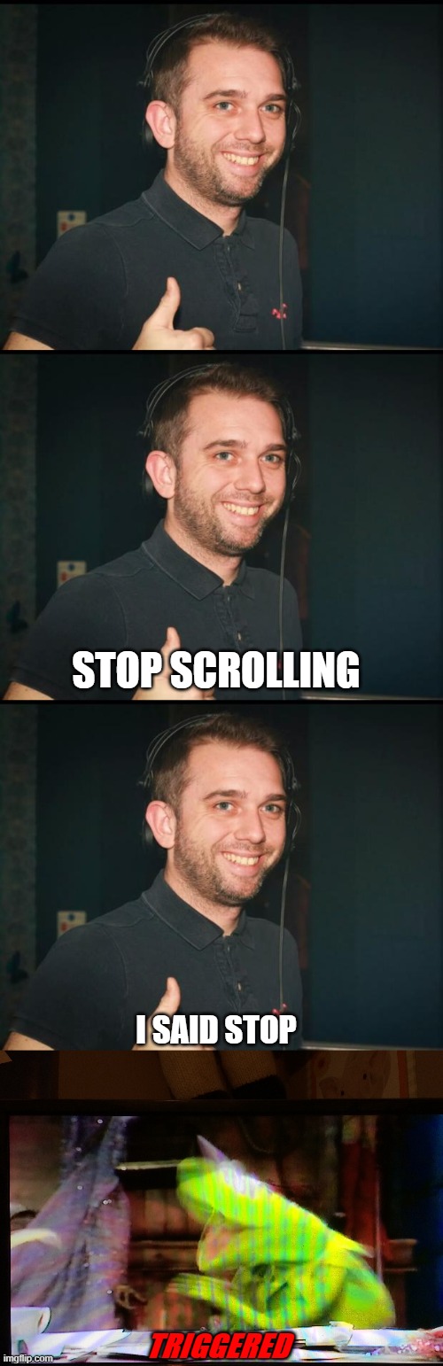 I SAID STOP STOP SCROLLING TRIGGERED | image tagged in yep good one mate,triggered kermit | made w/ Imgflip meme maker
