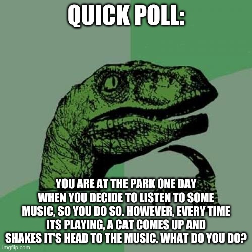 cat vibing to this question | QUICK POLL:; YOU ARE AT THE PARK ONE DAY WHEN YOU DECIDE TO LISTEN TO SOME MUSIC, SO YOU DO SO. HOWEVER, EVERY TIME ITS PLAYING, A CAT COMES UP AND SHAKES IT'S HEAD TO THE MUSIC. WHAT DO YOU DO? | image tagged in memes,philosoraptor,polls | made w/ Imgflip meme maker