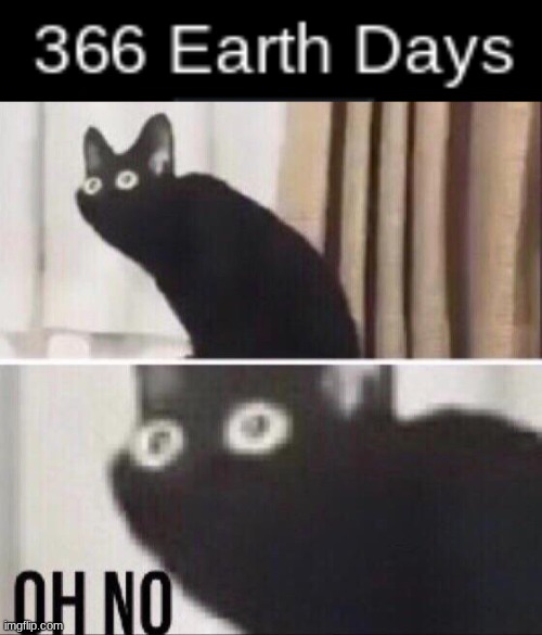 December 32nd is REAL!!! | image tagged in 2020,memes,oh no cat,oh my god okay it's happening everybody stay calm | made w/ Imgflip meme maker