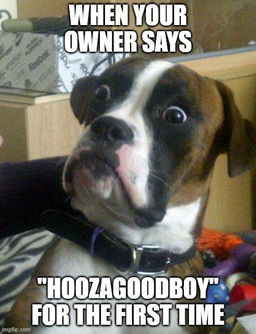Blankie the Shocked Dog | WHEN YOUR OWNER SAYS; "HOOZAGOODBOY" FOR THE FIRST TIME | image tagged in blankie the shocked dog | made w/ Imgflip meme maker