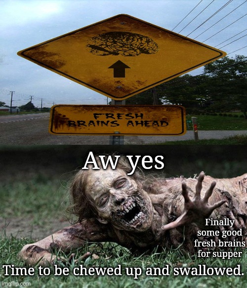 Fresh brains ahead | Aw yes; Finally some good fresh brains for supper; Time to be chewed up and swallowed. | image tagged in walking dead zombie,brains,food,memes,dark humor,signs | made w/ Imgflip meme maker