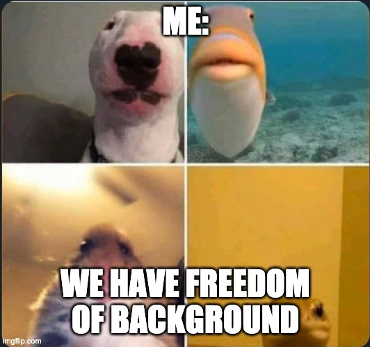 online classes | ME: WE HAVE FREEDOM OF BACKGROUND | image tagged in online classes | made w/ Imgflip meme maker