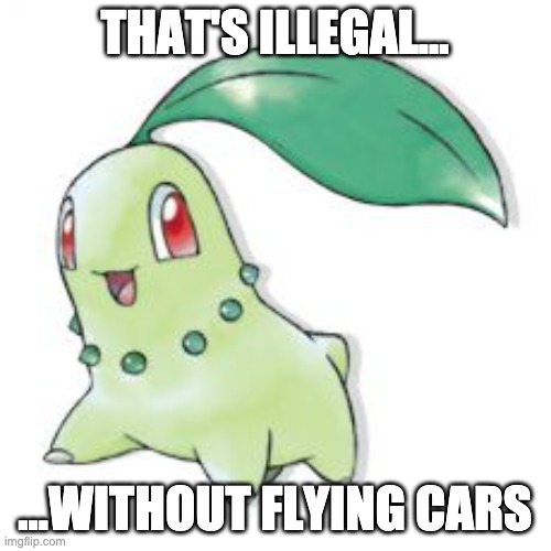 Chikorita | THAT'S ILLEGAL... ...WITHOUT FLYING CARS | image tagged in chikorita | made w/ Imgflip meme maker