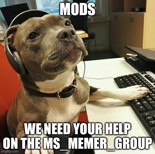 pit bull tech support | MODS; WE NEED YOUR HELP ON THE MS_MEMER_GROUP | image tagged in pit bull tech support | made w/ Imgflip meme maker