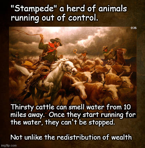 Stampede!  the redistribution of wealth | image tagged in politics | made w/ Imgflip meme maker