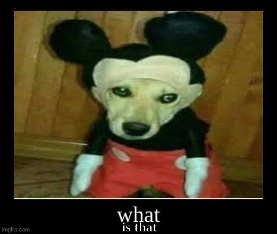 cursed mickey | is that | image tagged in wat,dog,mickey mouse | made w/ Imgflip meme maker