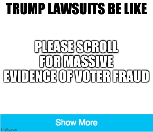 TRUMP LAWSUITS BE LIKE; PLEASE SCROLL FOR MASSIVE EVIDENCE OF VOTER FRAUD | image tagged in blank white template,show more trolling,rigged elections,voter fraud,election 2020,trump is a moron | made w/ Imgflip meme maker