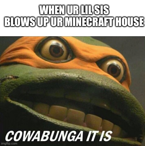WHEN UR LIL SIS BLOWS UP UR MINECRAFT HOUSE | image tagged in cowabunga it is | made w/ Imgflip meme maker