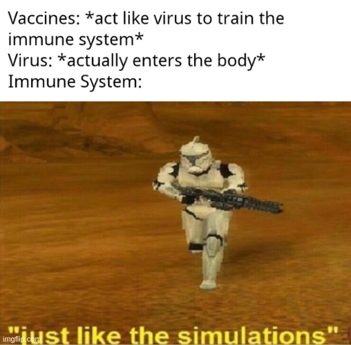 covid-19 vaccine | image tagged in just like the simulations,covid-19,vaccine | made w/ Imgflip meme maker